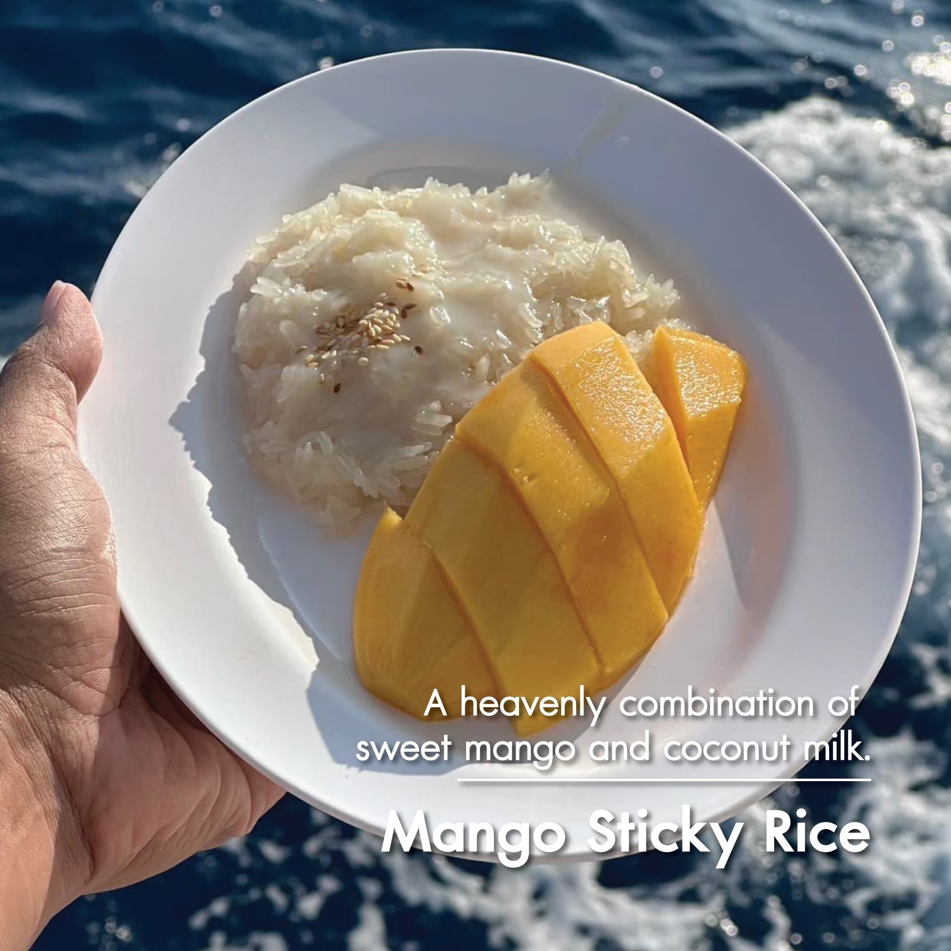 Meal served onboard MV. Krishna, photo 14