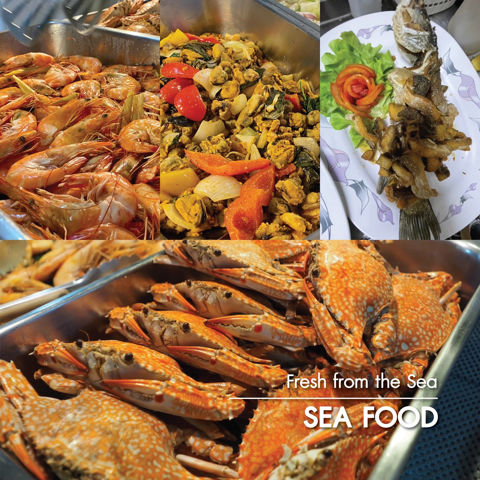 Meal served onboard MV. Krishna, photo 2