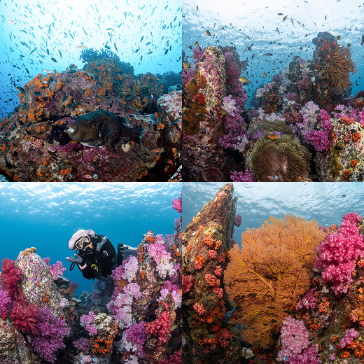 Stonehenge dive site near Koh Talang