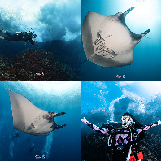 Koh Bon dive site, North Andaman