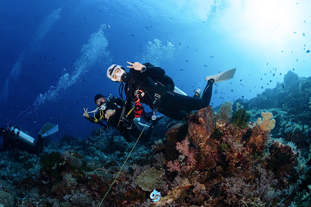จุดดำน้ำ Check Dive วันแรก Abila Village เกาะ Alor ภาพที่ 1