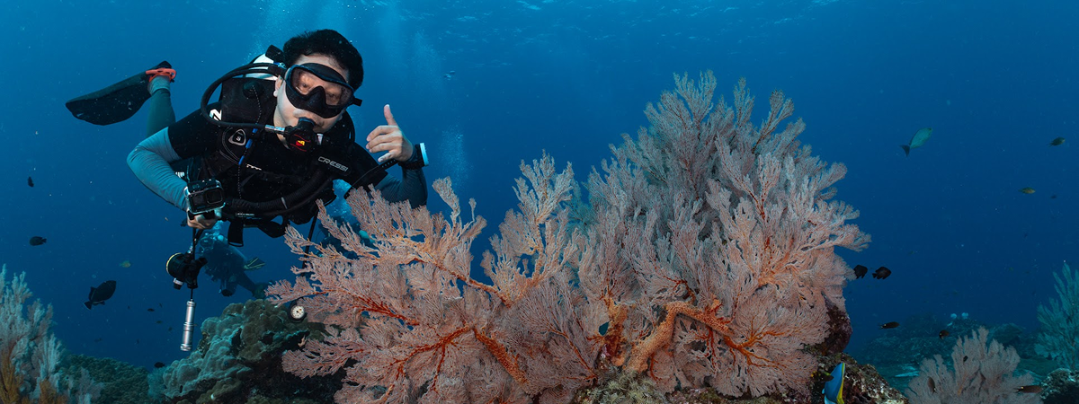 หลักสูตร ADVANCED OPEN WATER Divemate Scuba Club