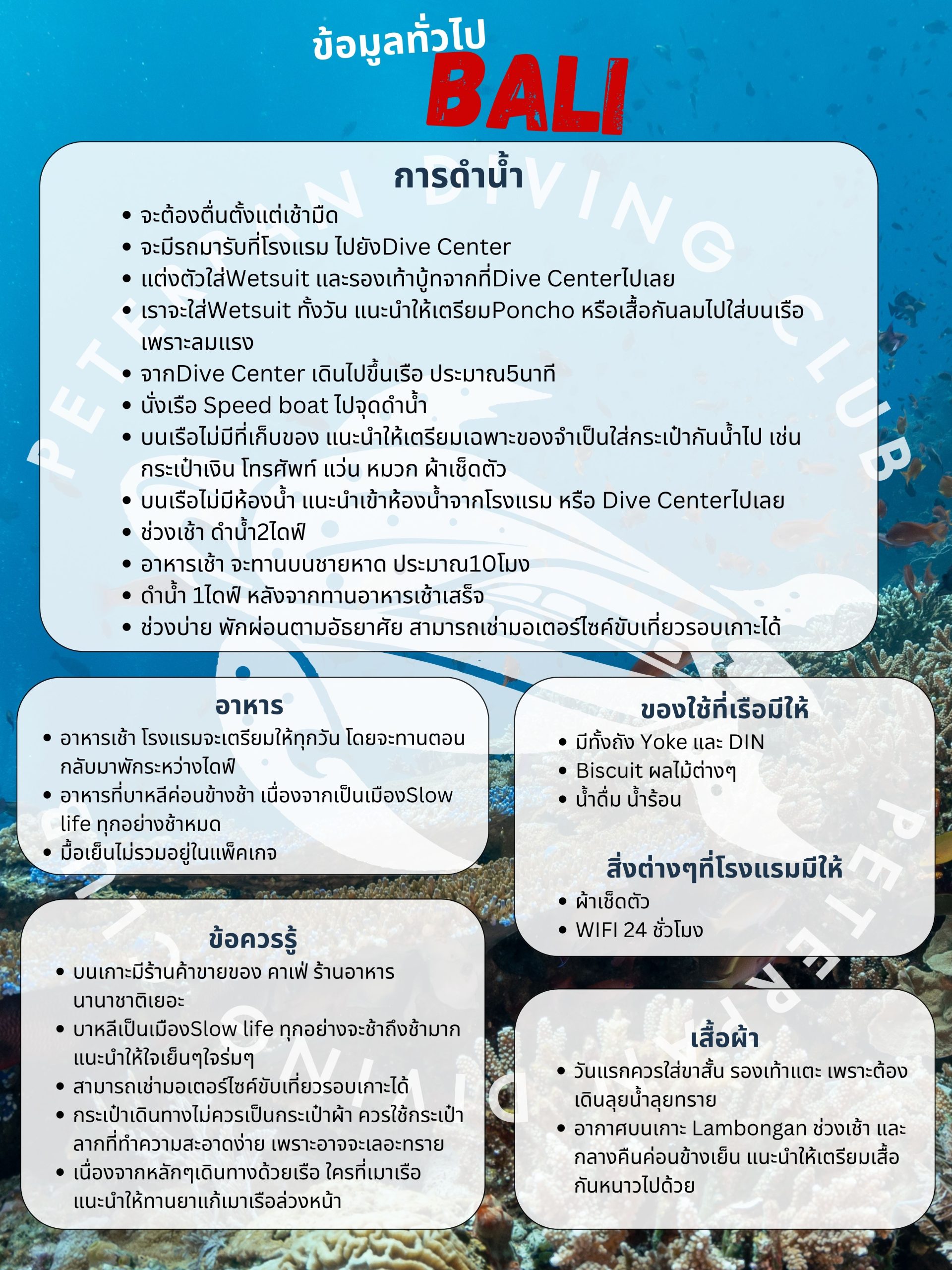 อินโฟกราฟิกข้อมูลทั่วไปทริปดำน้ำ Bali