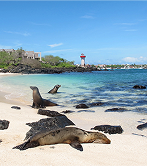 [ภาพตัวอย่าง] เรือ Calipso Galapagos Yacht