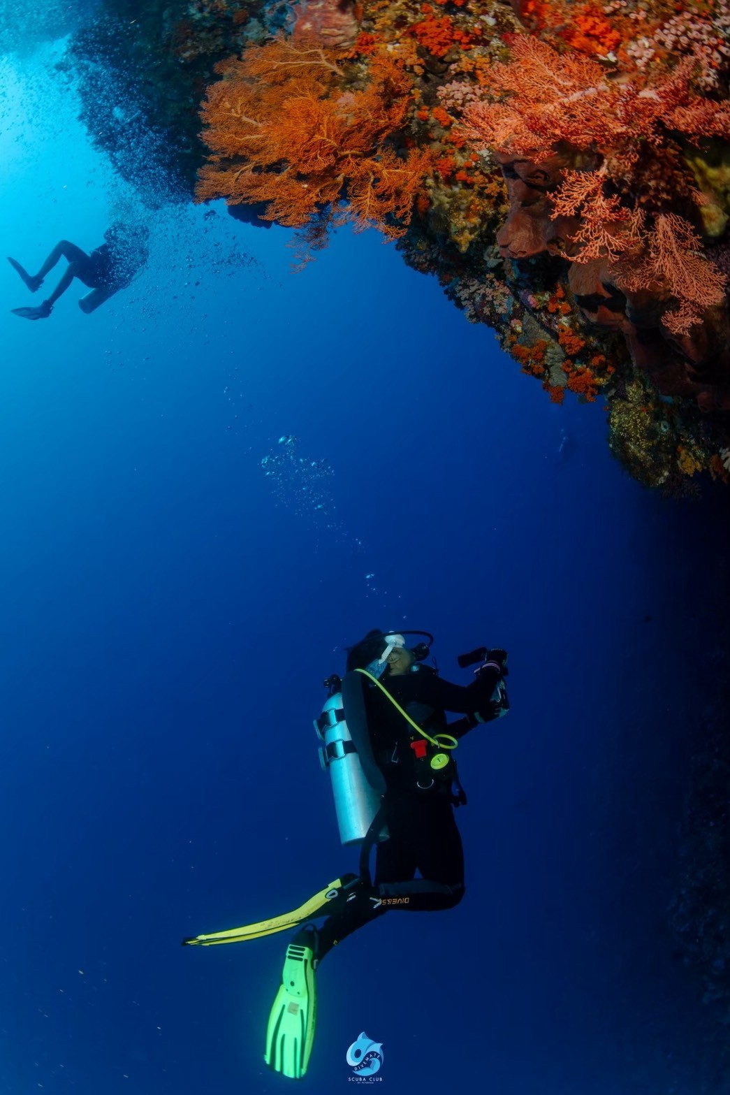 บรรยากาศและอาหารวันแรกบนเรือ Mola Mola 2 ภาพที่ 2