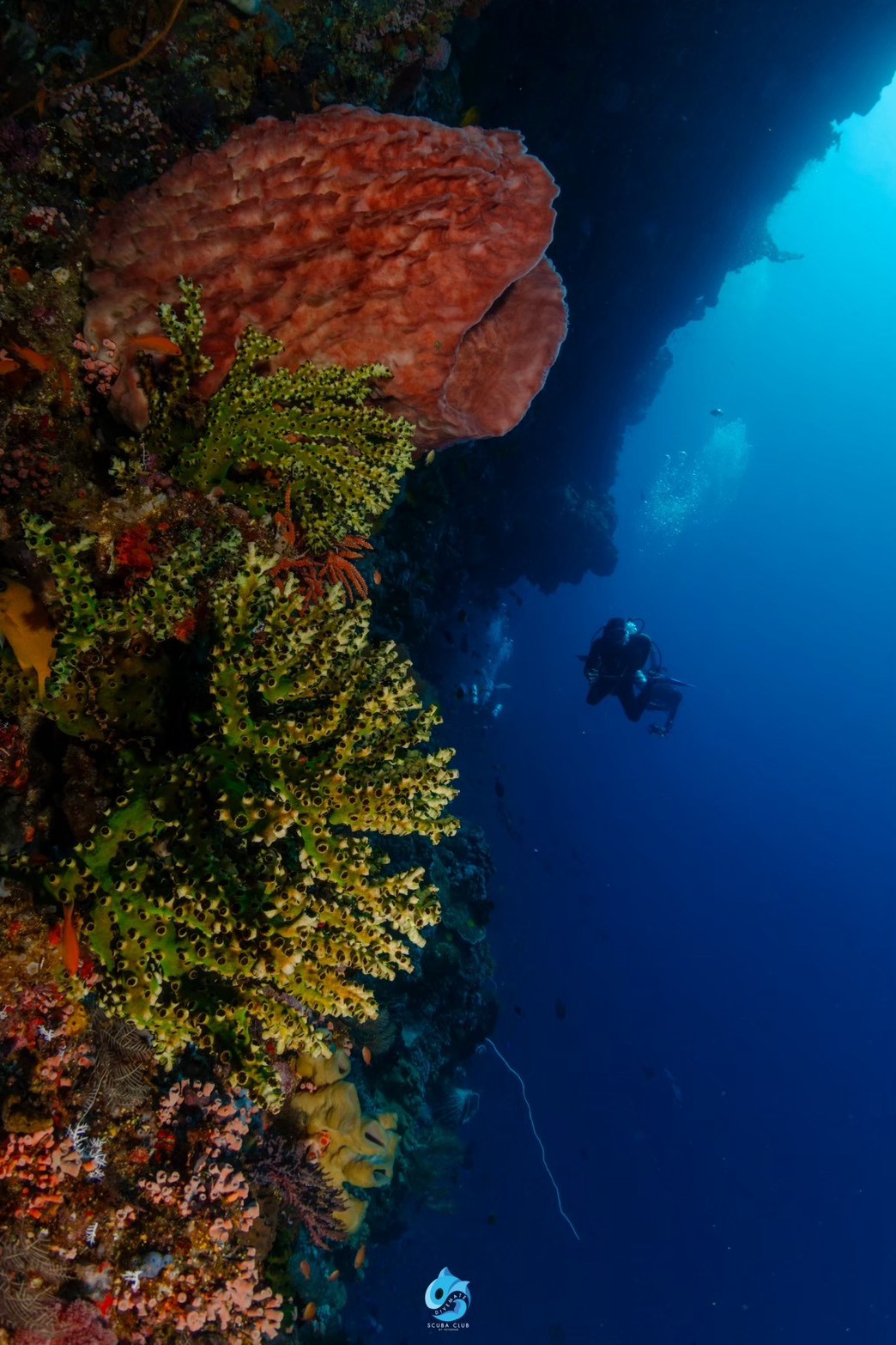 บรรยากาศและอาหารวันแรกบนเรือ Mola Mola 2 ภาพที่ 1