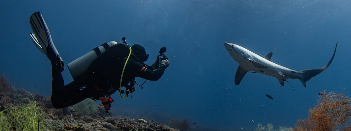 ทริปดำน้ำ Malapascua ประเทศฟิลิปปินส์ กับ Divemate Scuba Club