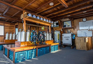 Dive Deck