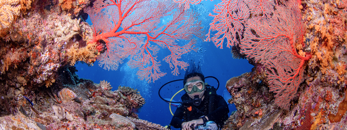 ทริปดำน้ำ Okinawa Naha ประเทศญี่ปุ่น กับ Divemate Scuba Club