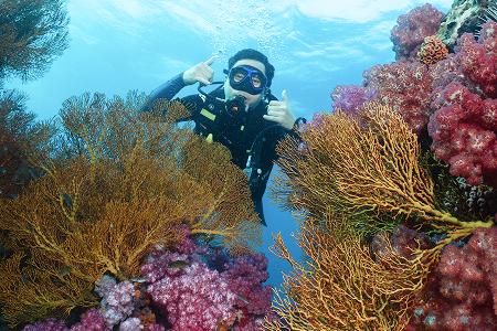 ออกสอบทะเลหลีเป๊ะ ทริป Liveaboard หลักสูตร Open Water ภาพที่ 1