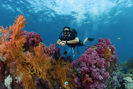 ออกสอบทะเลหลีเป๊ะ ทริป Liveaboard หลักสูตร Open Water ภาพที่ 2