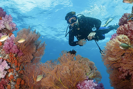ออกสอบทะเลหลีเป๊ะ ทริป Liveaboard หลักสูตร Open Water ภาพที่ 3