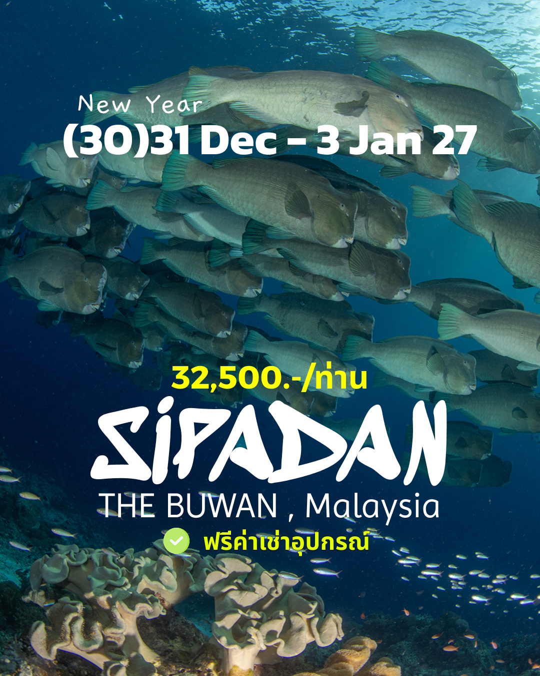 ทริปดำน้ำ Sipadan (30) 31 Dec - 3 Jan 27
