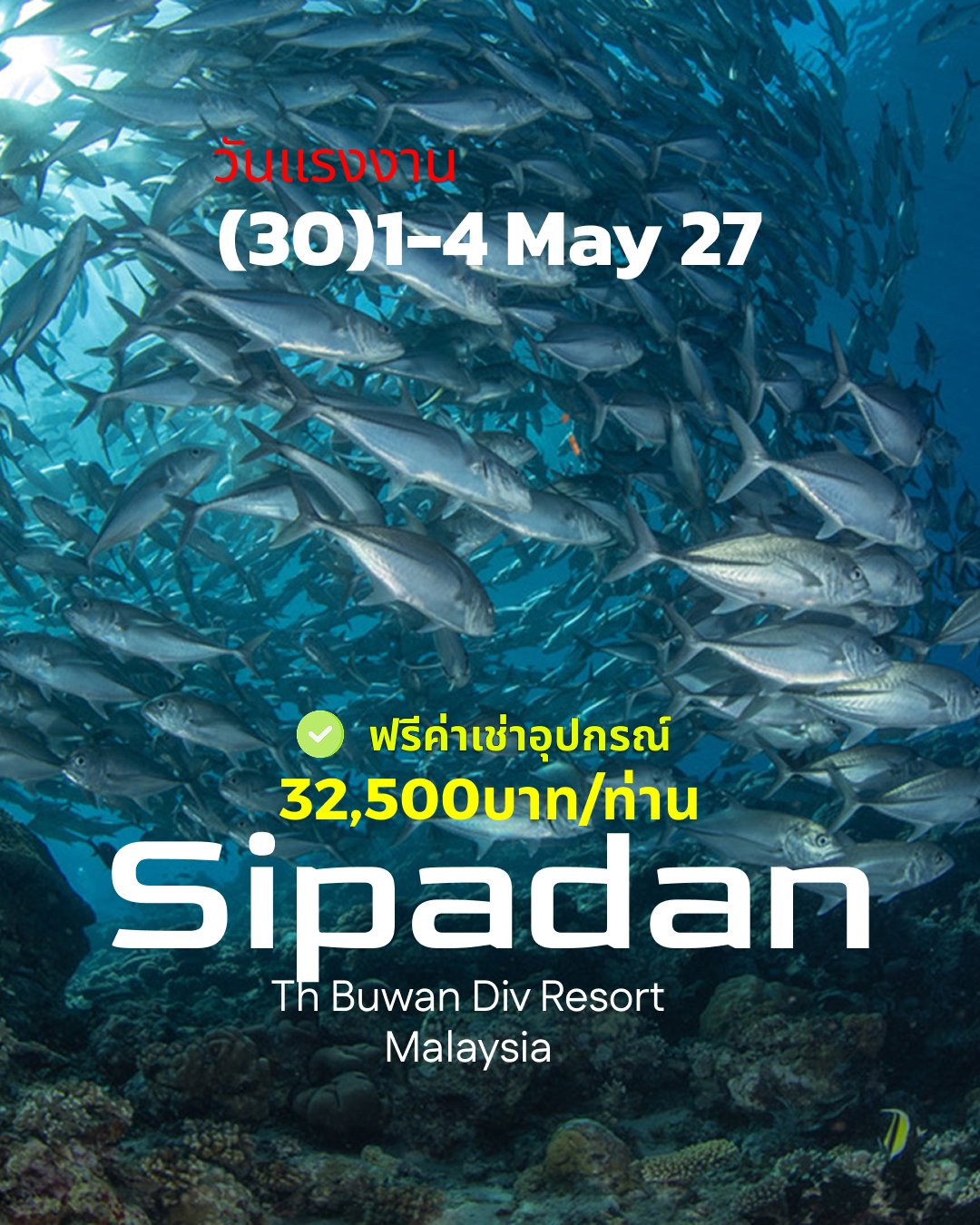 ทริปดำน้ำ Sipadan (30) 1 - 4 May