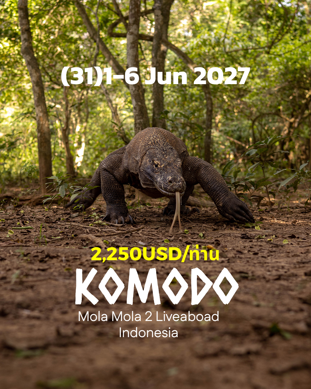 ทริปดำน้ำ Komodo (31) 1 - 6 Jun