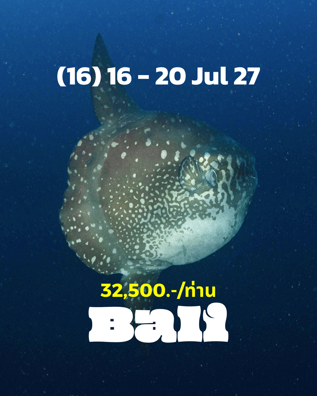 ทริปดำน้ำ Bali (16) 17 - 20 Jul