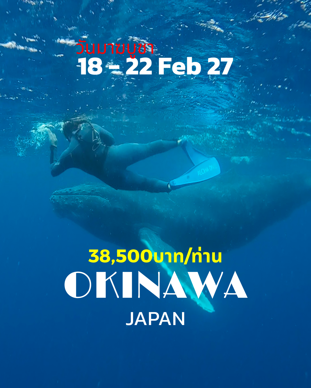 ทริปดำน้ำ Okinawa (Snorkeling) (18) 18 - 22 Feb