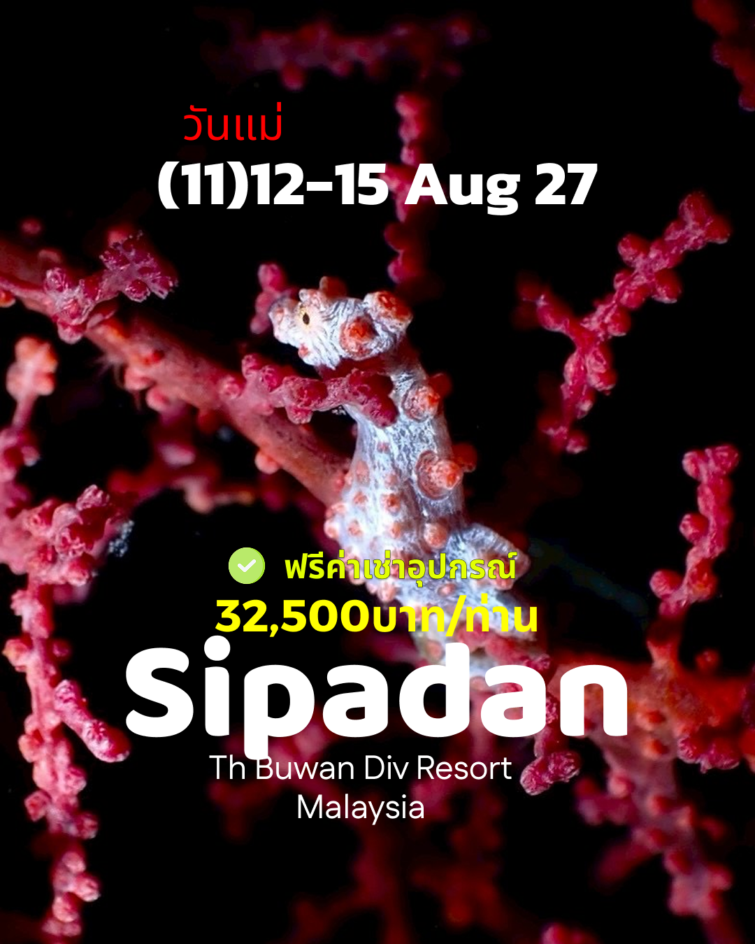 ทริปดำน้ำ Sipadan (11) 12 - 15 Aug
