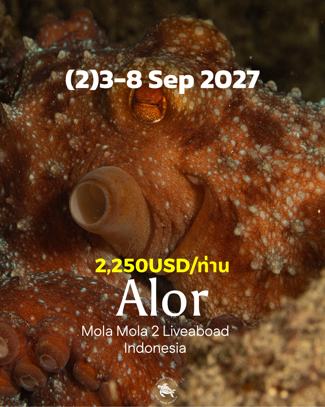 ทริปดำน้ำ Grand Alor (2) 3 - 8 Sep
