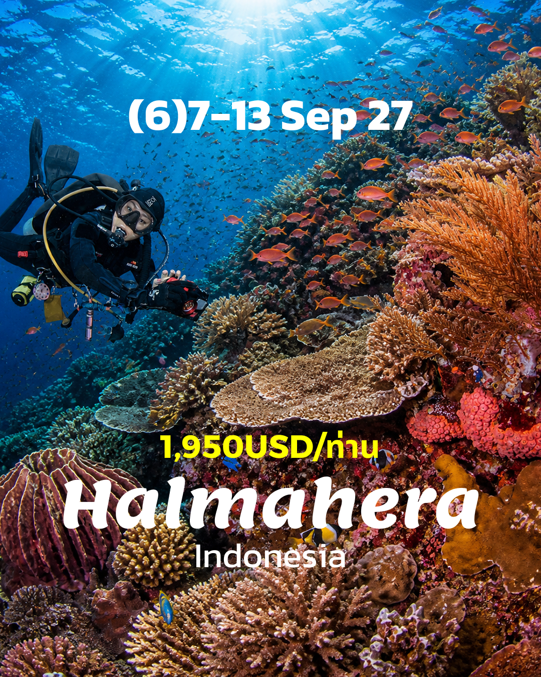 ทริปดำน้ำ Halmahera (7) 8 - 13 Sep