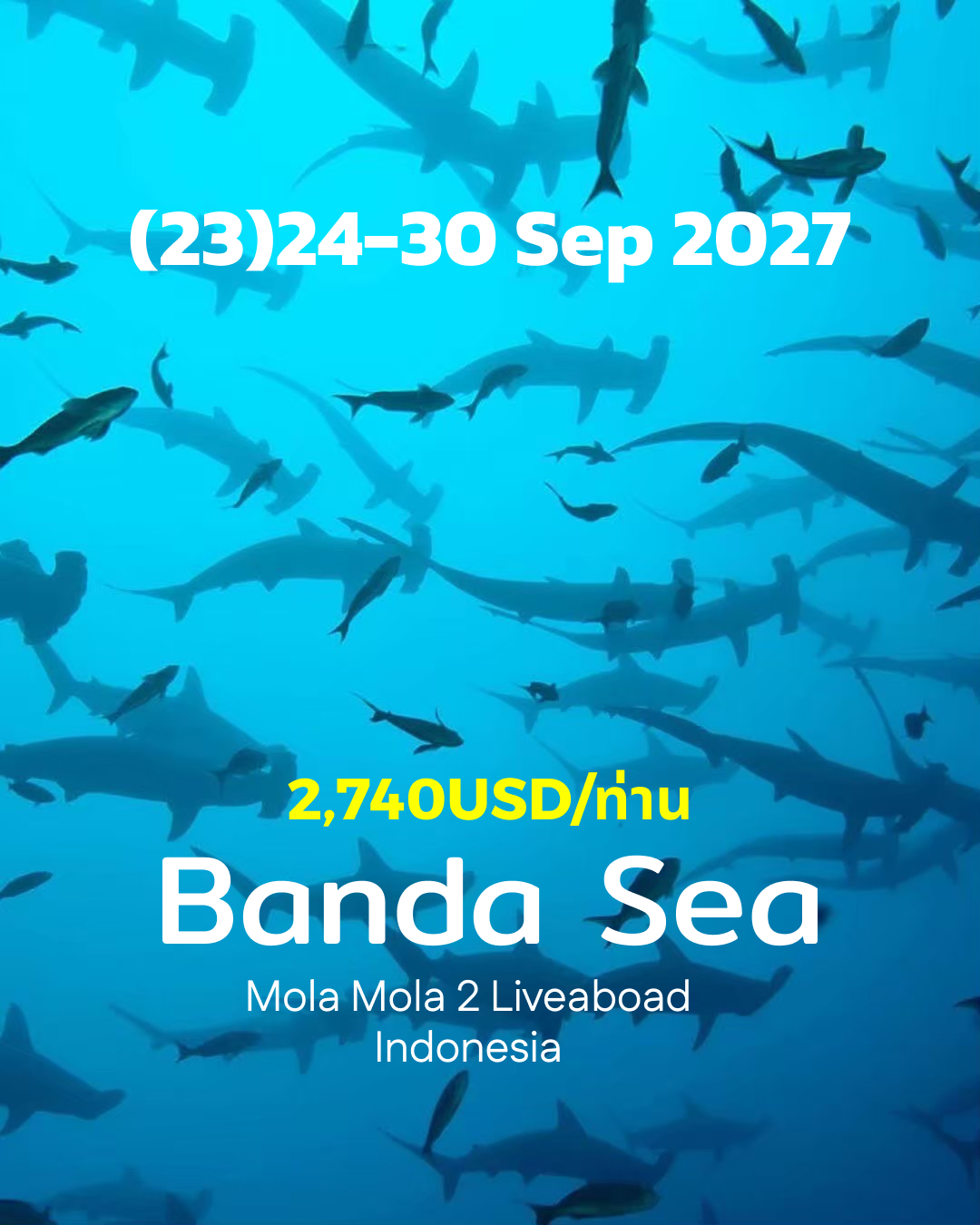ทริปดำน้ำ Banda Sea (23) 24 - 30 Sep