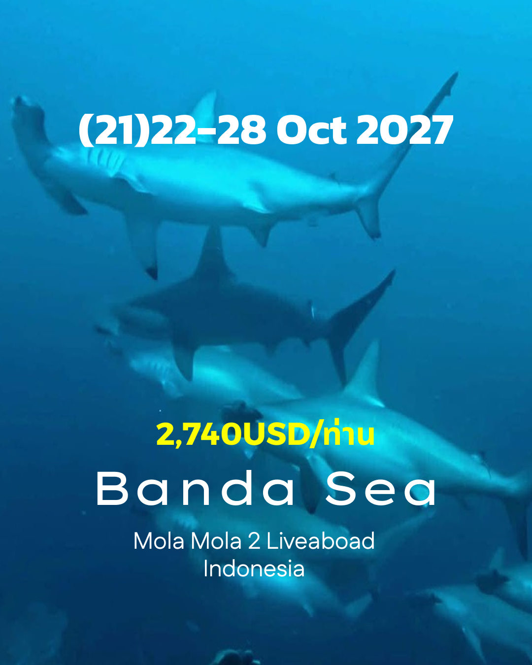 ทริปดำน้ำ Banda Sea (21) 22 - 28 Oct