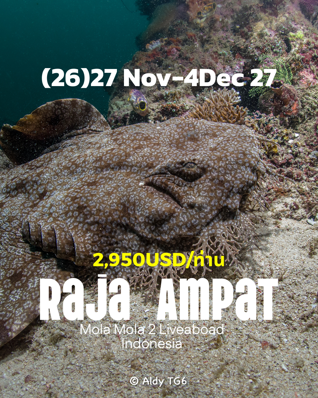 ทริปดำน้ำ Central Raja Ampat - Misool (26) 27 Nov - 4 Dec