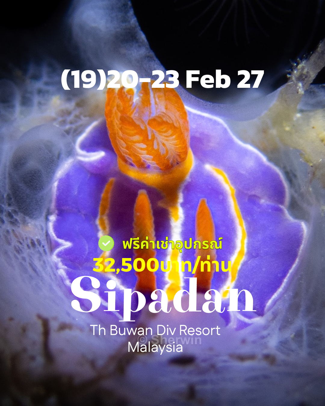 ทริปดำน้ำ Sipadan (19) 20 - 23 Feb