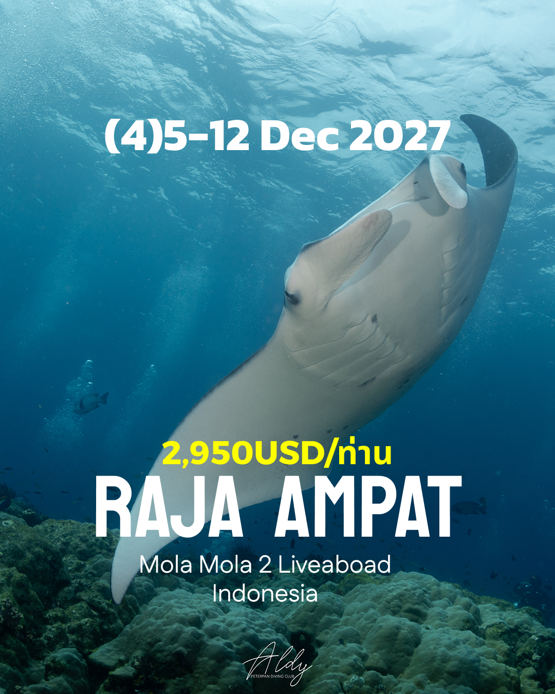 ทริปดำน้ำ Central Raja Ampat - Misool (4) 5 - 12 Dec
