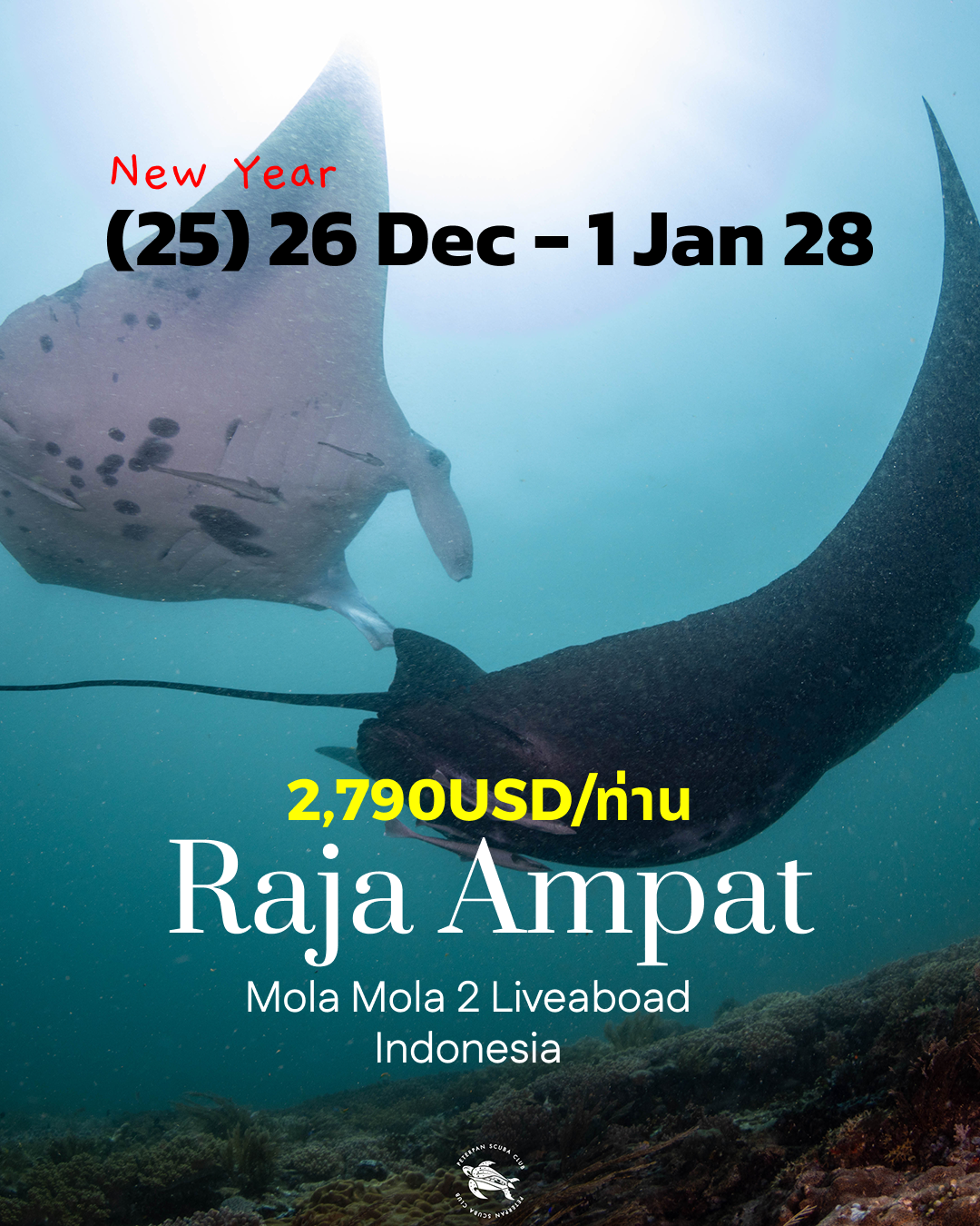 ทริปดำน้ำ North & Central Raja Ampat (25) 26 Dec - 2 Jan 28