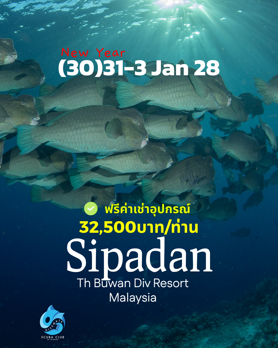 ทริปดำน้ำ Sipadan (30) 31 Dec - 3 Jan 28