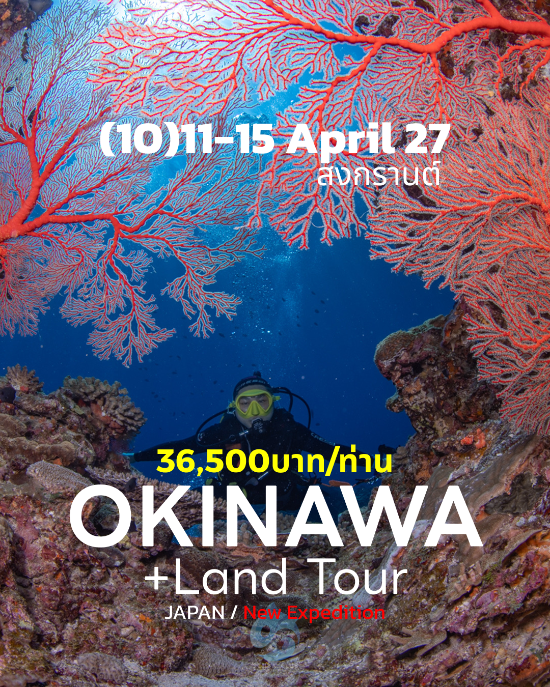 ทริปดำน้ำ Okinawa + Land tour (10) 10 - 15 Apr