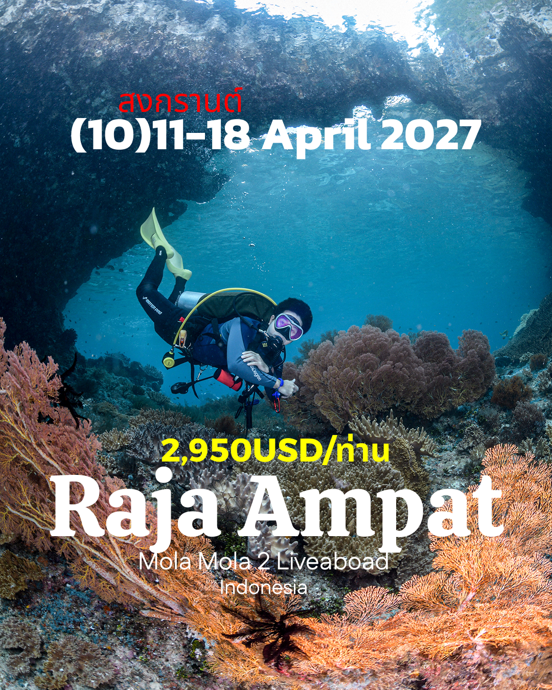 ทริปดำน้ำ Central Raja Ampat - Misool (10) 11 - 18 Apr