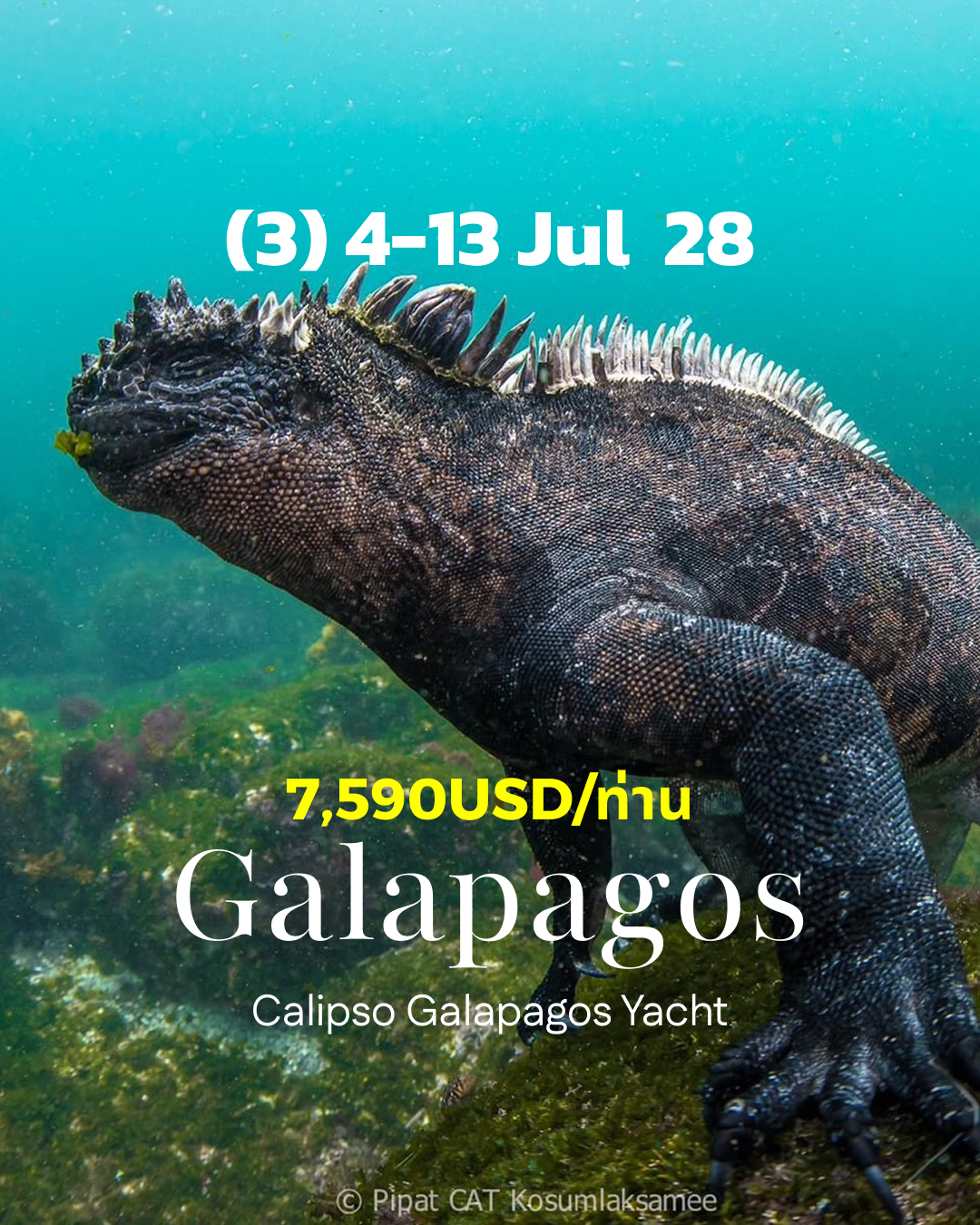 ทริปดำน้ำ Galapagos (3) 4 - 13 Jul