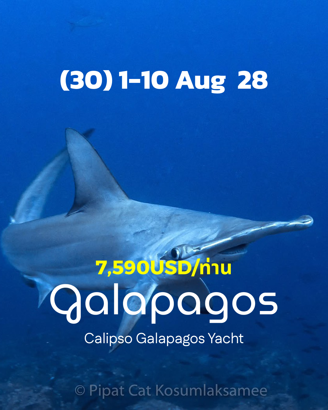 ทริปดำน้ำ Galapagos (30) 1 - 10 Aug