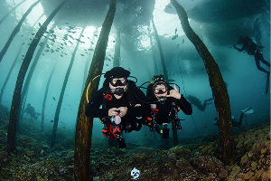 หมู่บ้าน Arborek Raja Ampat ภาพที่ 1