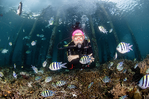 หมู่บ้าน Arborek Raja Ampat ภาพที่ 2