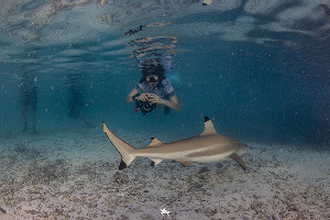 Trekking at Wayag และ snorkel with the sharks ภาพที่ 1
