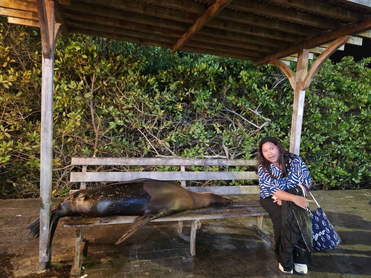 [ภาพตัวอย่าง] Check dive ที่ Isla Lobos