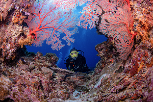 Crevasse รอยแยกใต้น้ำ เกาะ Tokashiki ภาพที่ 1