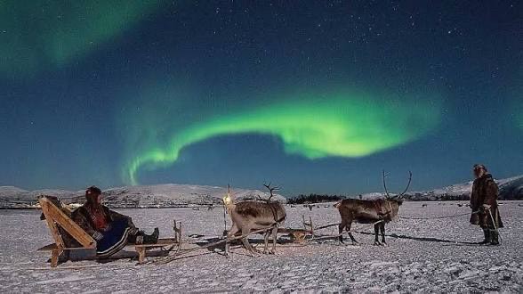 ภาพประกอบ Day 4 Arctic experiences ทริป Norway Snorkeling w/ Orca 3