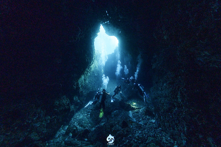 จุดดำน้ำ Wolang Cave เกาะ Alor ภาพที่ 2